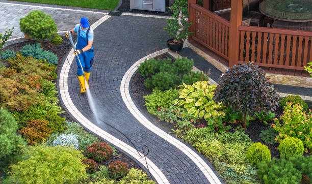 Best Best Pressure Washing Companies  in Plainfield Village, CT
